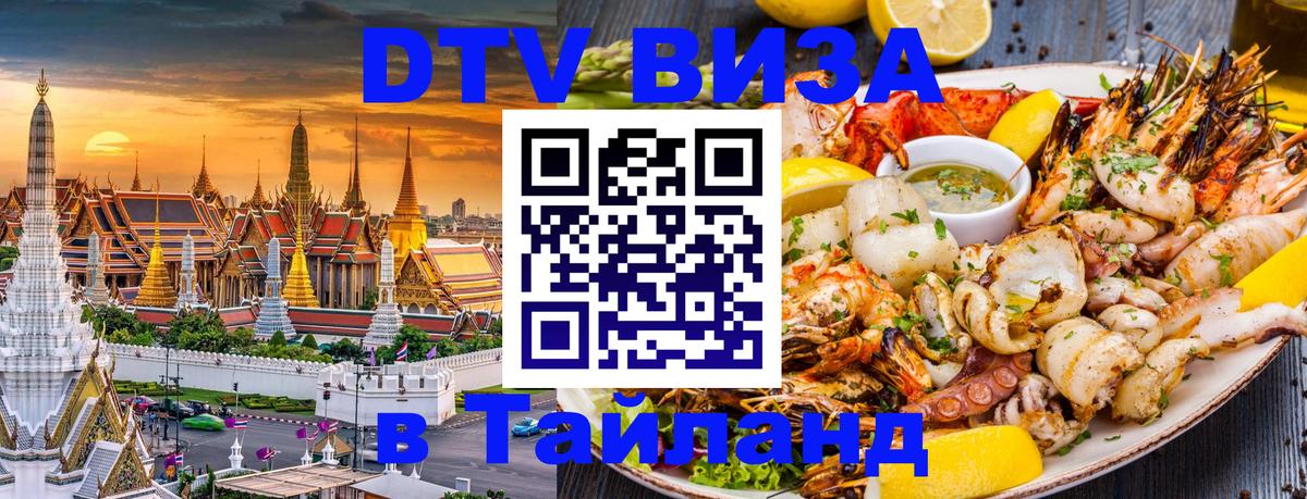 Сколько стоит DTV виза — актуальные цены, оформление даже без документов - Осло  19.11.2025 